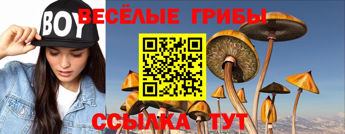 Галлюциногенные грибы ЛСД Мичуринск