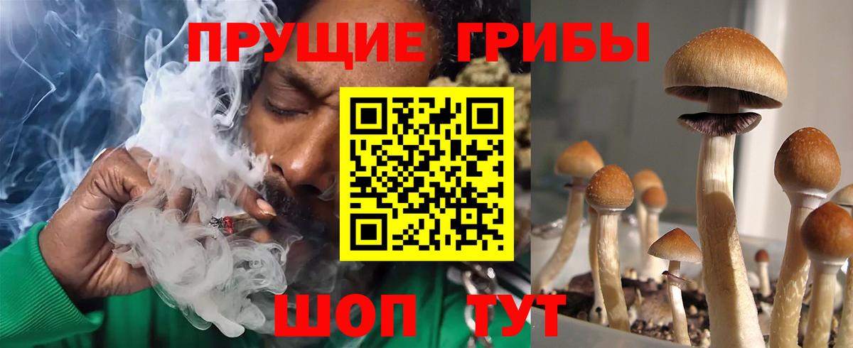 Мичуринск  Псилоцибиновые грибы мицелий  Вход с VPN  Галлюциногенные грибы мицелий 